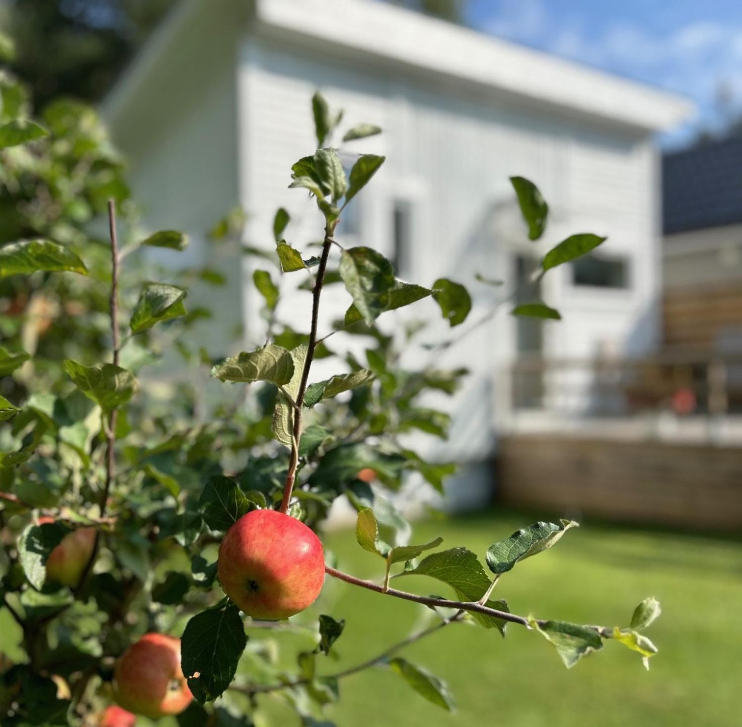Lilla Huset Bed & Breakfast - Countryside Guesthouse, Free Parking Örebro Dış mekan fotoğraf